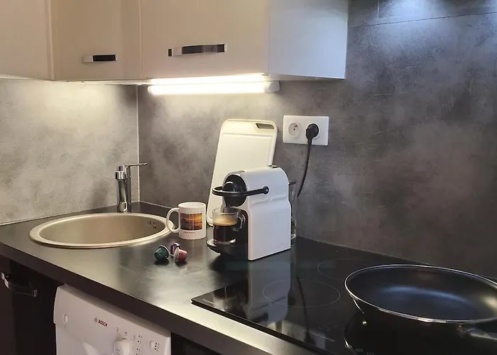 Grand Avec Terrasse Pres De La Lejlighed *